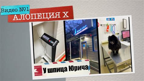 Аналитический медицинский специалист, привлекаемый для выявления наличия яичек у шпицев