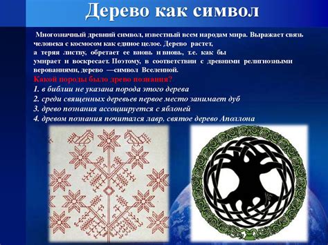 Аранеологический символ в искусстве предсказаний