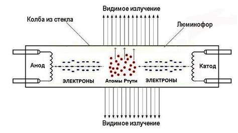 Важность ускорителя производительности для повышения эффективности работы