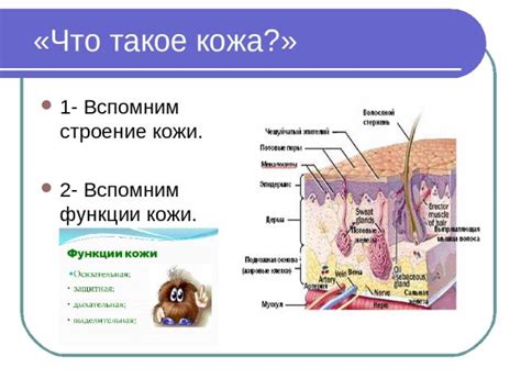 Влияние контакта с кожей и глазами на организм человека