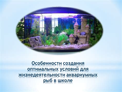 Выбор правильного датчика влажности для создания оптимальных условий в инкубаторе