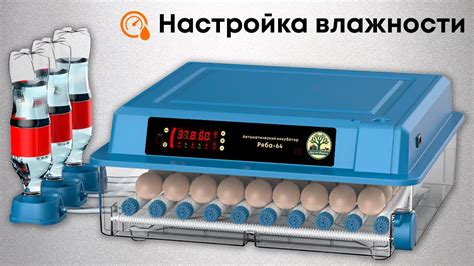 Калибровка датчика влажности в инкубаторе: настройка и точность измерений