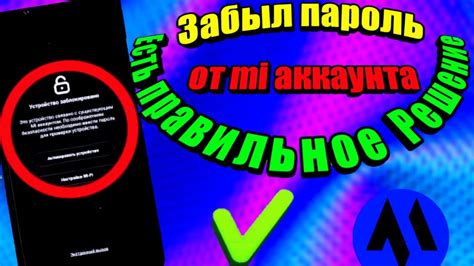 Настройка устройства Цезарь Смарт: первоначальные шаги