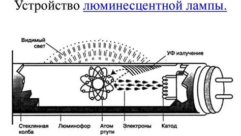 Определение ЛДС