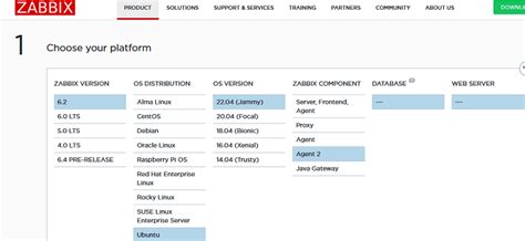 Основная функция агента Zabbix и его применение