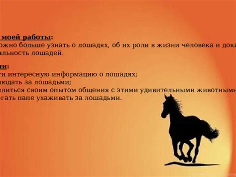 Основные компоненты хакаморы и их роли в обучении лошадей