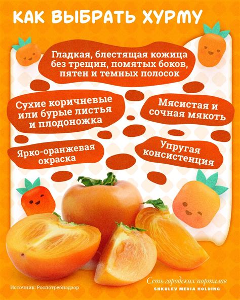 Особенности приема хурмы для предотвращения ощущения липкости в полости рта