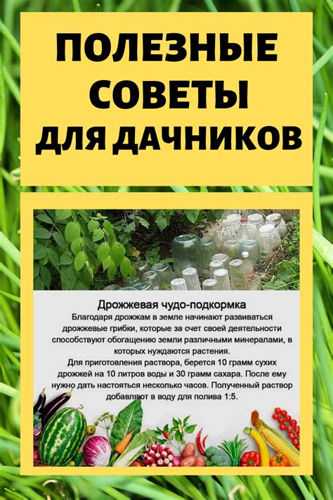 Полезные советы для исследователей в мире Valheim