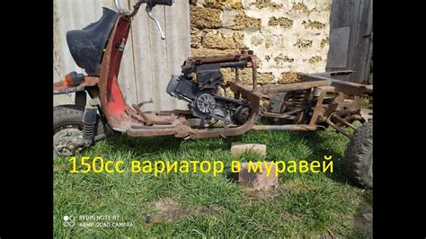 Почему мотороллер не тянет муравья