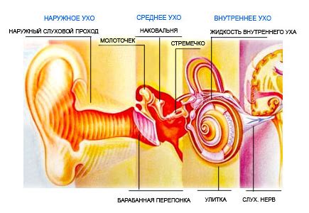 Проникновение в истоки нежелательного звука