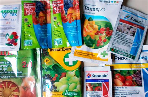 Профилактическое применение препаратов и их безопасность