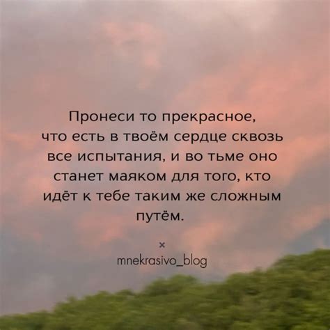 Проявление заботы и знаки любви в словах "береги себя"