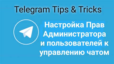 Разграничение возможностей чата: установка уровня доступа к функциям общения