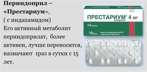 Роль компонентов в составе препаратов престариума А и престариума и их воздействие на организм