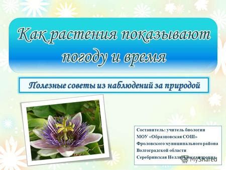 Сохранение и уход за барометром: полезные советы