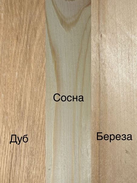 Способы установки подлинности древесины дуба: инструкции и признаки
