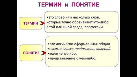 Термины: применение и значения