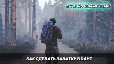 Устройство административного управления в игре DayZ