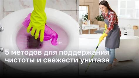 Уход за шерстью: важный аспект поддержания свежести и чистоты