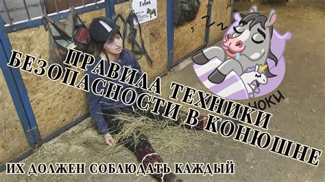Функция хакаморы при работе с лошадью