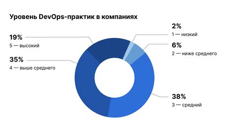  Роль флагов в повышении функциональности интернет-программ
