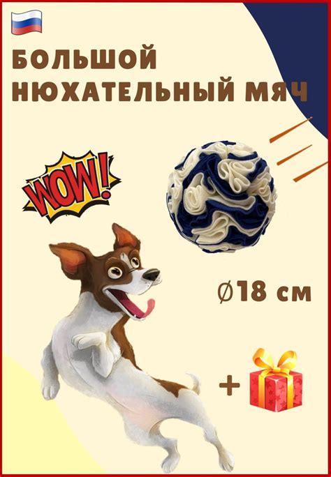 Важность использования Мезима для собак