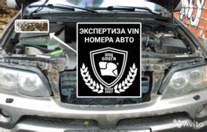 Важность своевременной проведения экспертизы вин номера