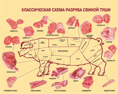 Влияние антибиотиков на мясо свиньи
