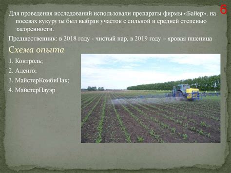 Влияние дождя на эффективность гербицидов