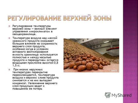 Влияние температуры на сохранность продукта
