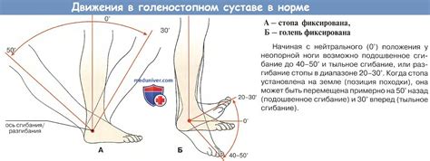 Измерение объема стопы