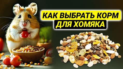 Какой корм выбрать после смекты
