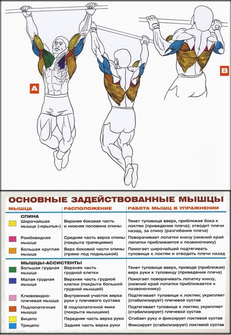 Как правильно выполнять подтягивания