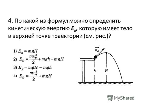 Когда рыжики достигают максимальной высоты