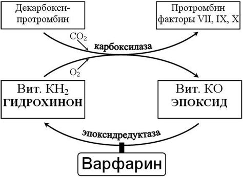 Механизм действия дихлофоса