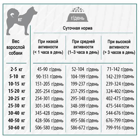 Нормы кормления куриными шейками для собак разных пород и размеров