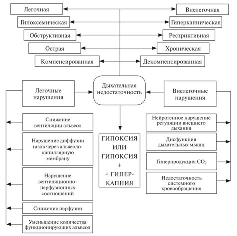 Определение, физиология и причины