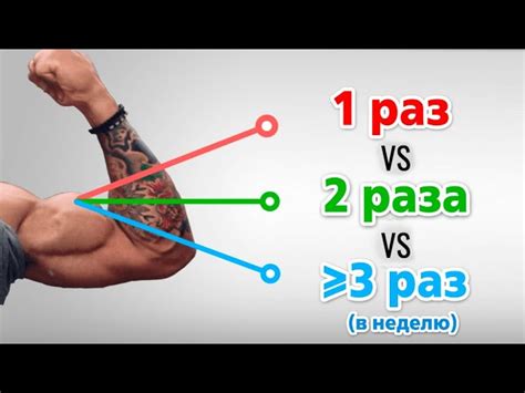 Оптимальная частота занятий вождением