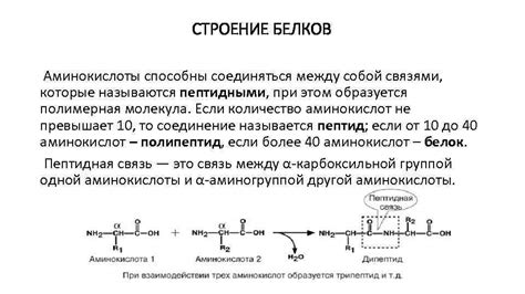 При сжигании белков