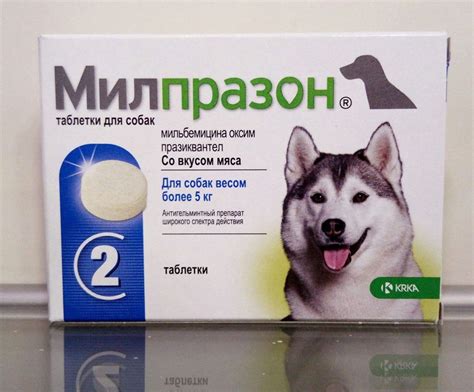 Противопоказания к использованию Мезима для собак
