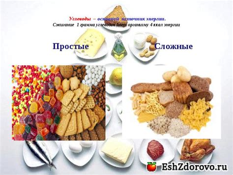 Сжигание 1 грамма белков