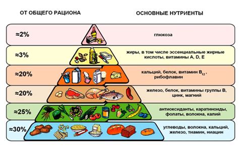 Средний объем пищи в рационе человека