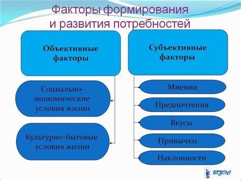 Факторы, влияющие на потребность в корме у кота